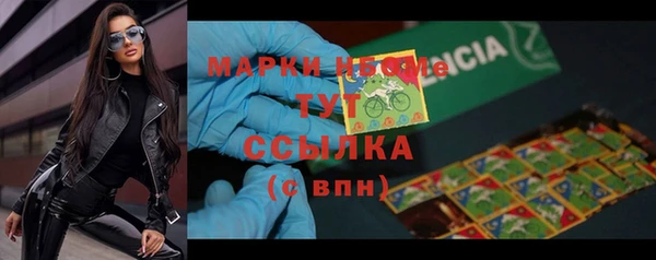 индика Каменск-Шахтинский