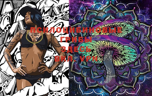 марки lsd Каменногорск