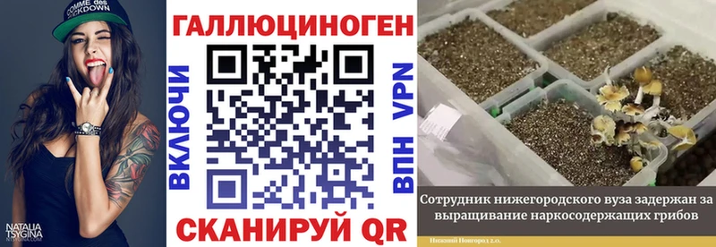 Галлюциногенные грибы мицелий  Купить  Лихославль 